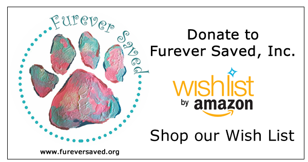Furever Saved - Amazon Wishlist