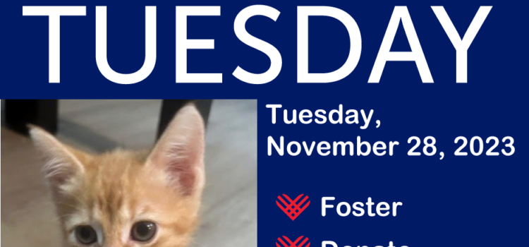 Giving Tuesday