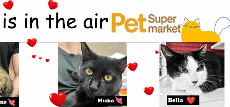 Love is in the air at Pet Supermarket – Cutler Bay