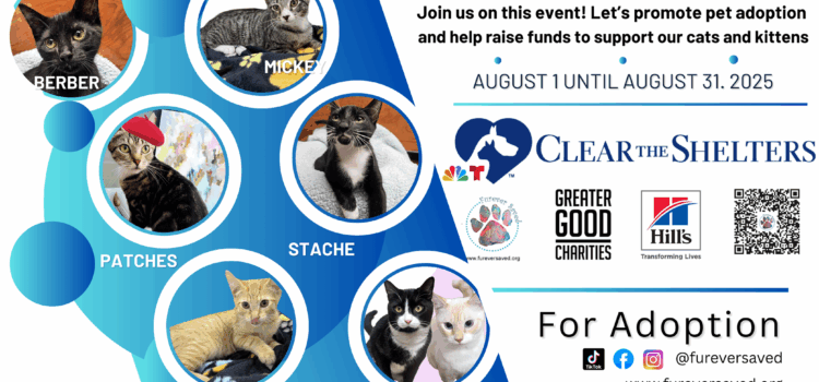 Furever Saved, Inc Joins NBC6 and Telemundo 51 for the annual “Clear the Shelters’
